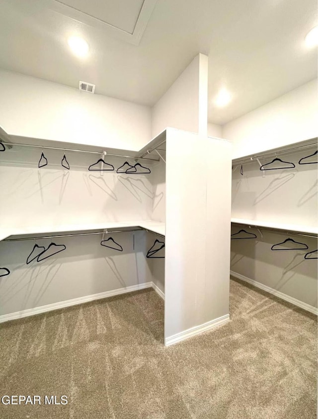 3897 Surmise St, El Paso, TX 79938 - walk in closet with carpet