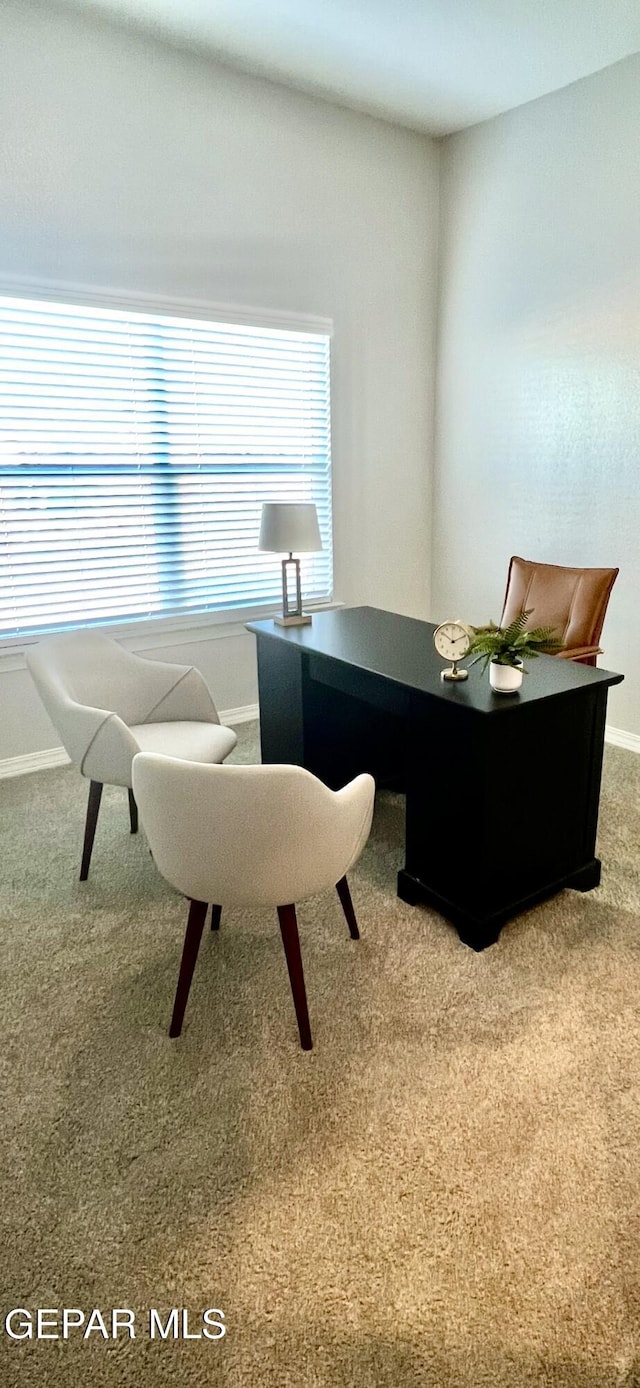 3897 Surmise St, El Paso, TX 79938 - office with carpet floors and baseboards