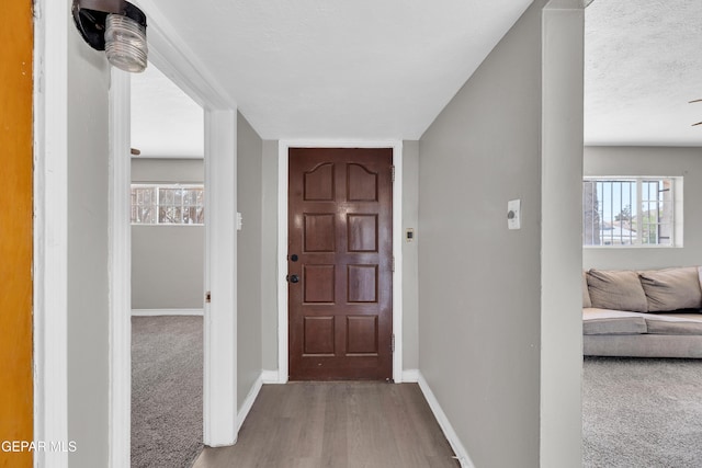 2413 Copper Ave Unit 79930, El Paso, TX 79930 - carpeted entrance foyer with baseboards and wood finished floors