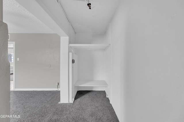 2413 Copper Ave Unit 79930, El Paso, TX 79930 - spacious closet featuring carpet floors