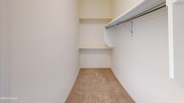 14764 Jack White Ave, El Paso, TX 79938 - walk in closet featuring light colored carpet