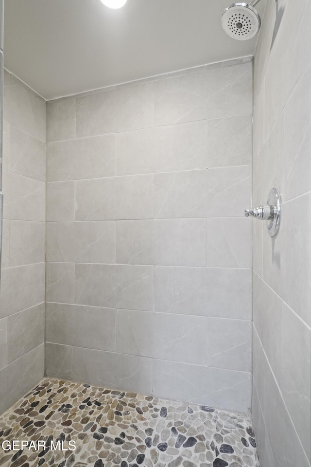 2217 Tony Harper St, El Paso, TX 79938 - bathroom featuring a tile shower and stone finish flooring