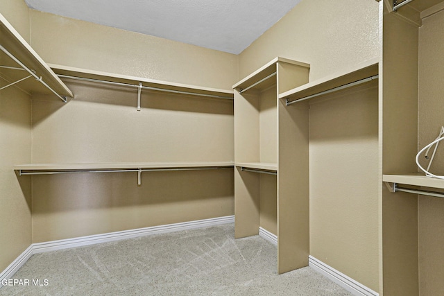 spacious closet with light carpet