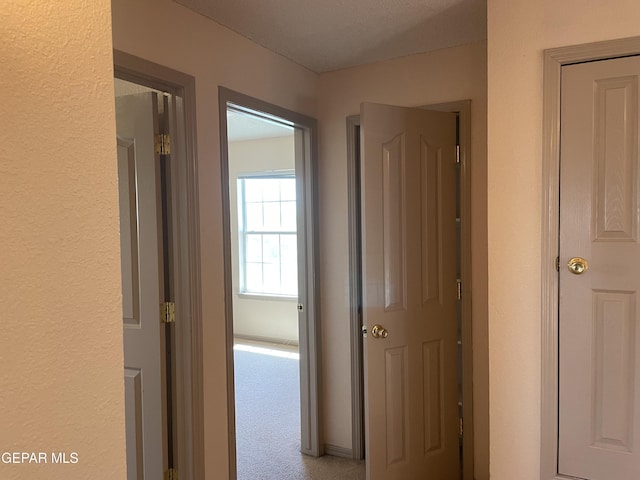 hallway with carpet flooring