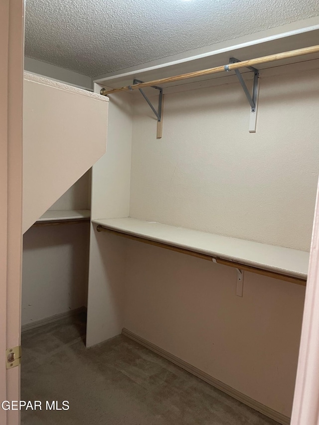 walk in closet with carpet