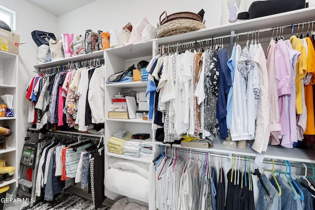 view of walk in closet