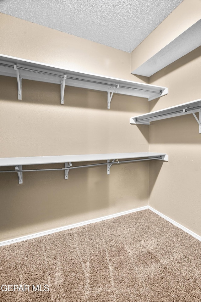 2987 Tierra Limon Dr, El Paso, TX 79938 - spacious closet featuring carpet floors