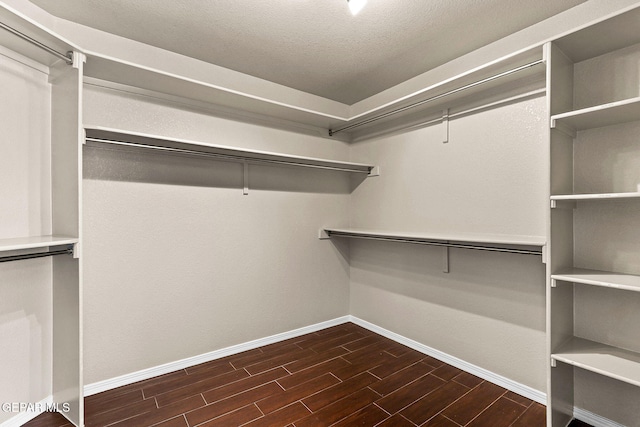spacious closet featuring wood tiled floor