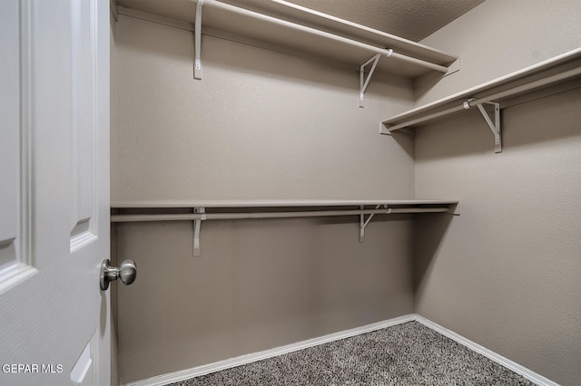 10677 Canyon Sage Dr, El Paso, TX 79924 - spacious closet featuring carpet