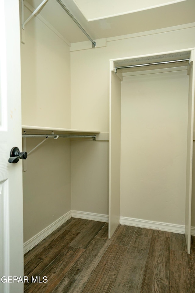 756 Jalynn Grace, Canutillo, TX 79835 - spacious closet featuring wood finished floors