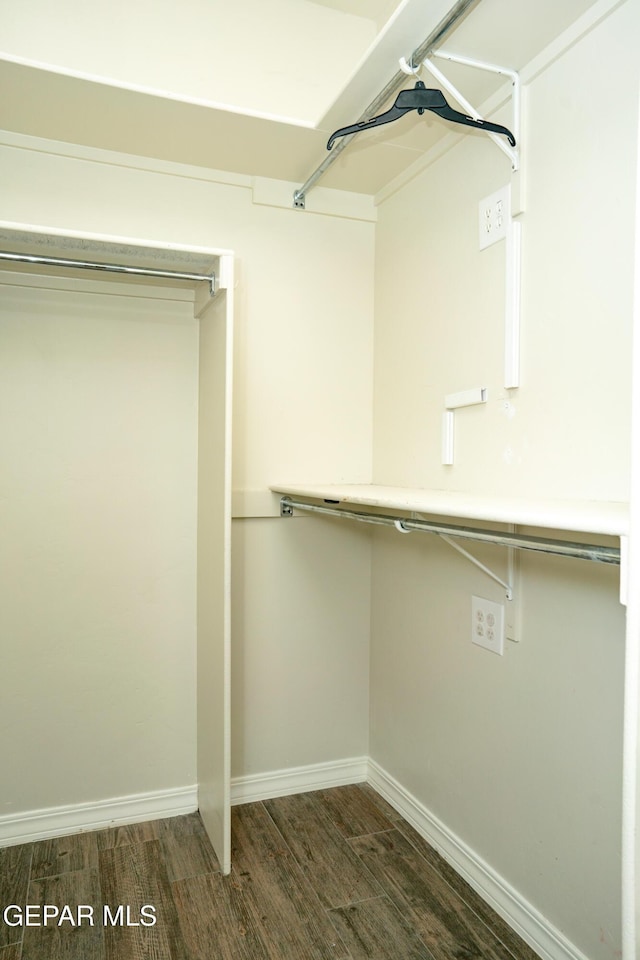 756 Jalynn Grace, Canutillo, TX 79835 - spacious closet featuring dark wood finished floors