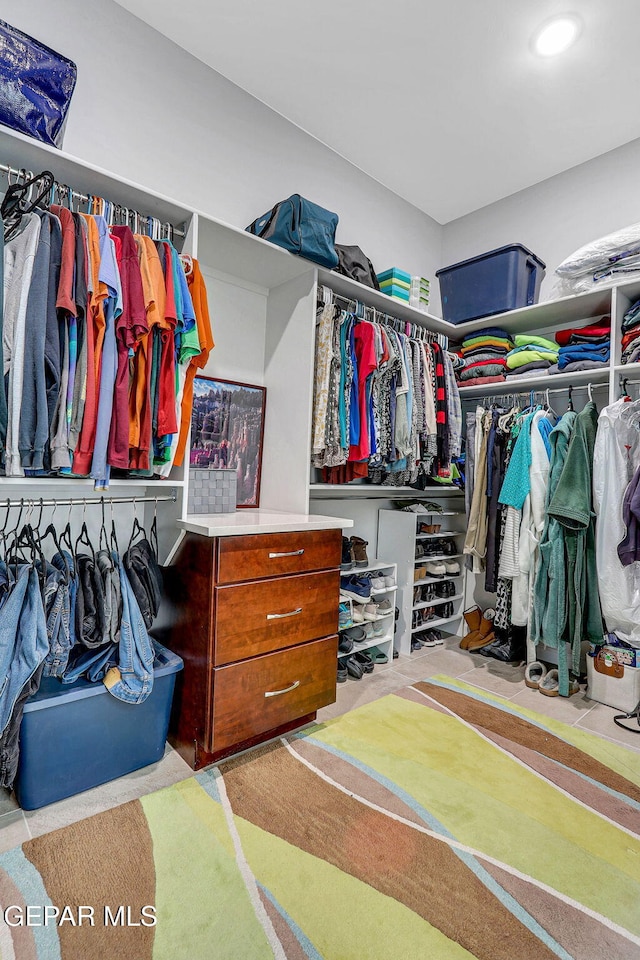 view of walk in closet