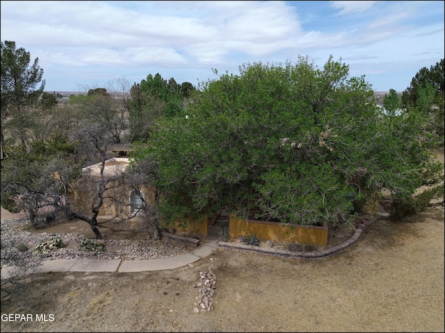 29 Cielo Vis, Anthony, NM 88021 - view of yard with a vegetable garden