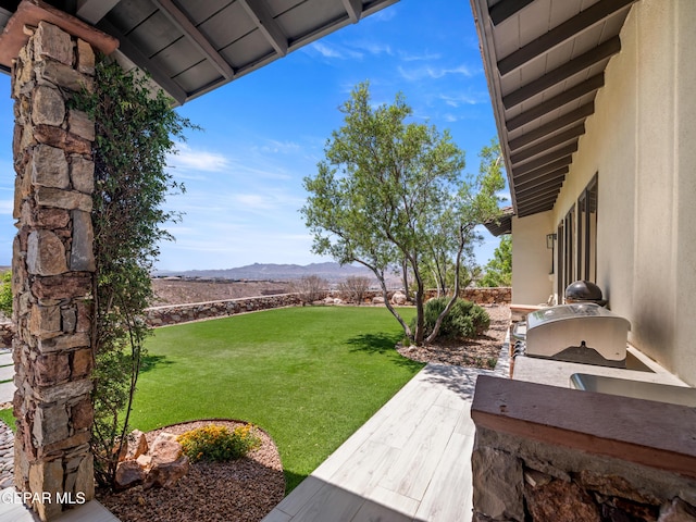view of yard featuring an outdoor kitchen and a mountain view