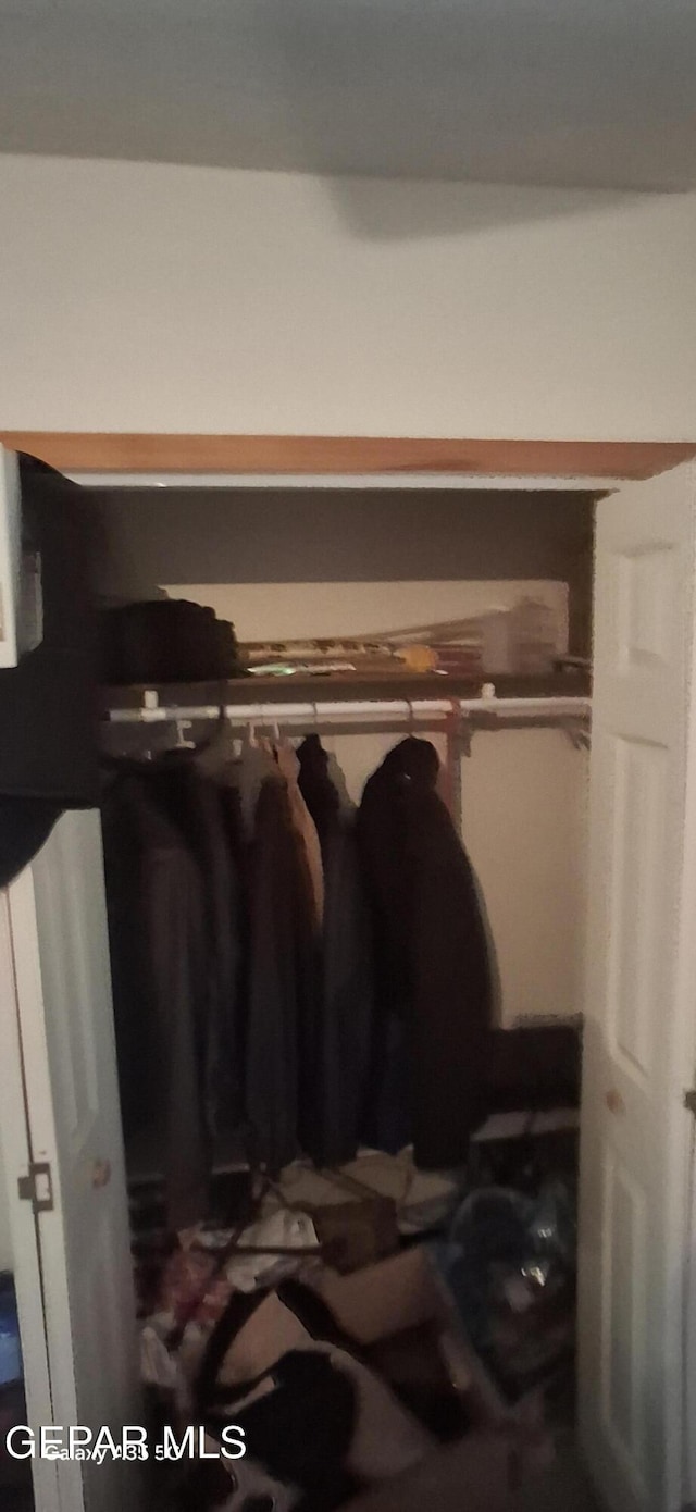 view of closet
