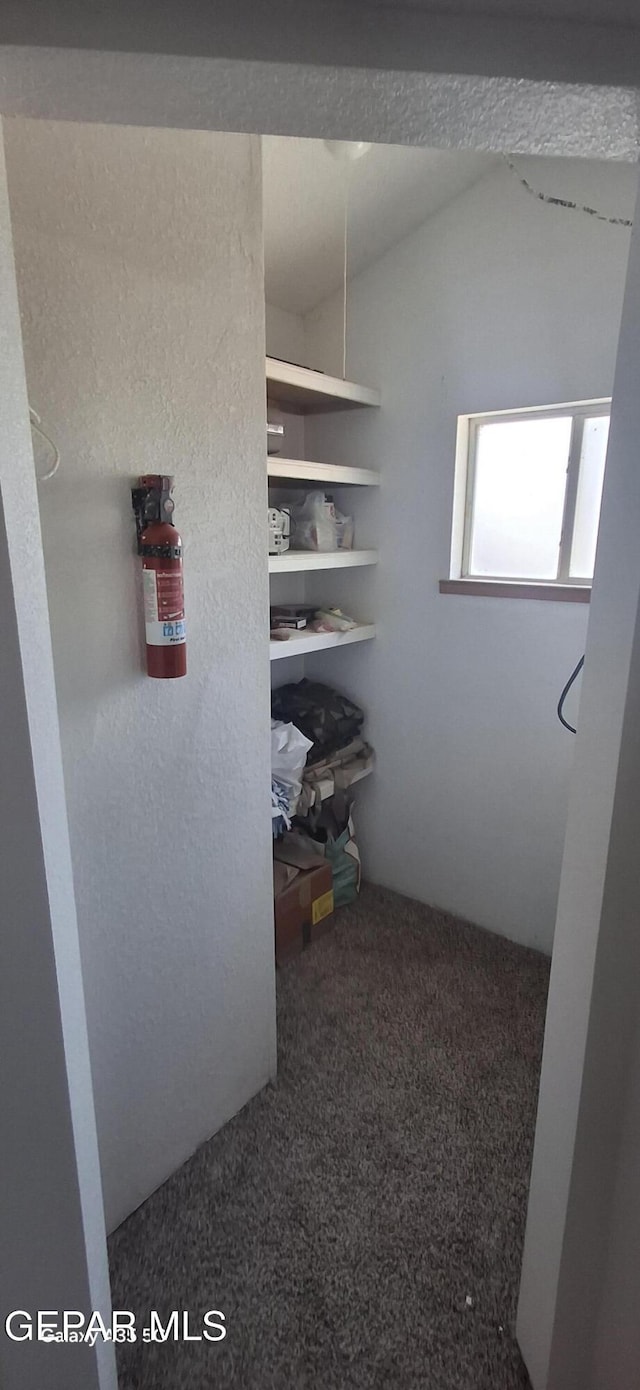 spacious closet with carpet and vaulted ceiling