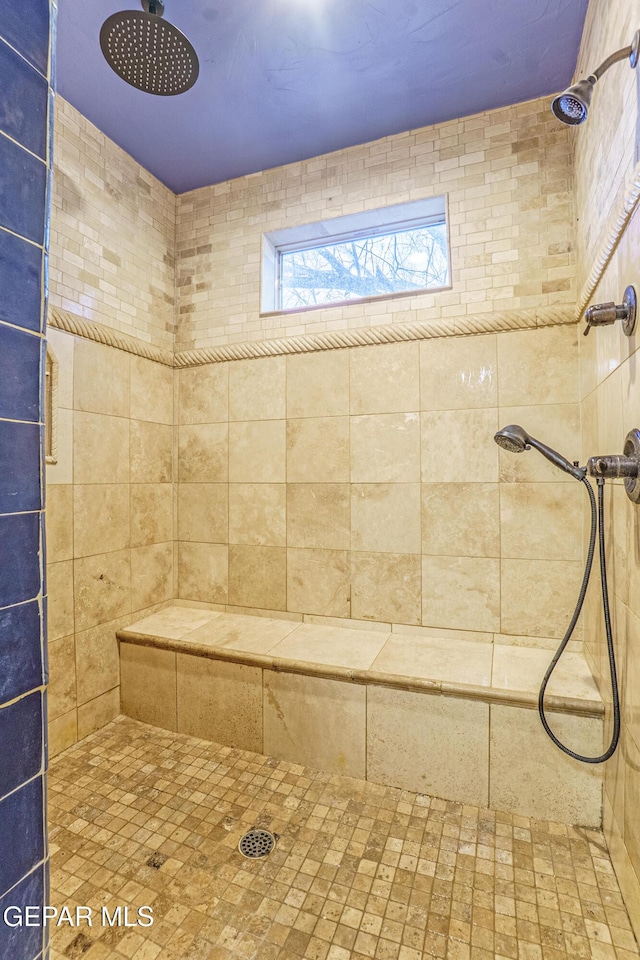 32 Cielo Dorado Dr, Anthony, NM 88021 - bathroom featuring a tile shower