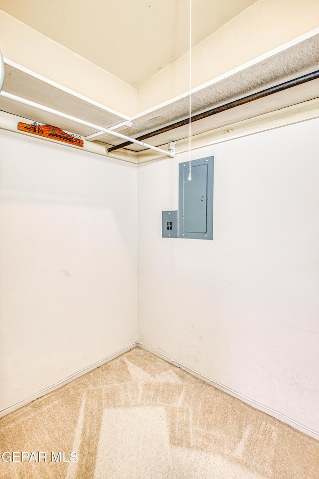 basement featuring carpet floors and electric panel