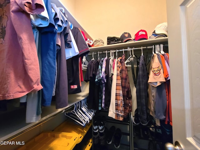 view of spacious closet