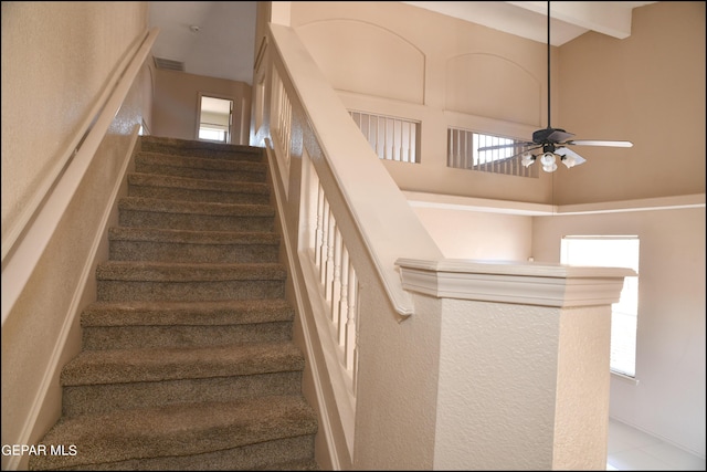 1345 Diana Natalicio Dr, El Paso, TX 79936 - photo 27