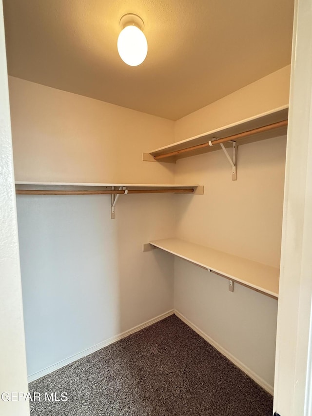 14368 N Cave Dr, El Paso, TX 79938 - spacious closet with dark carpet