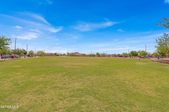 12729 Raul Mendiola Ln, El Paso, TX 79938 - view of grassy yard