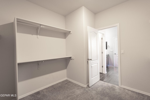 spacious closet with carpet