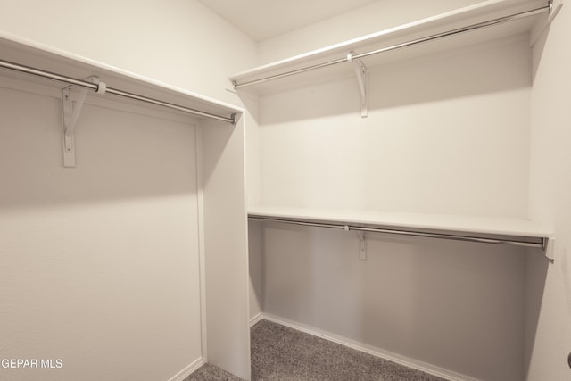 walk in closet with carpet