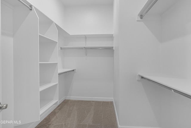 spacious closet with carpet floors