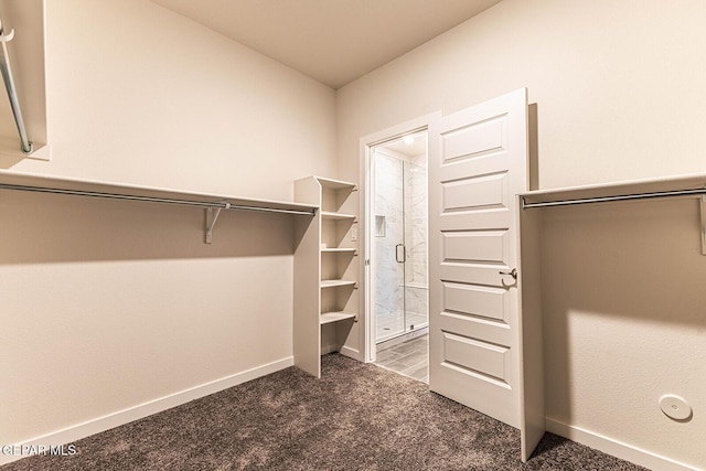 spacious closet with carpet