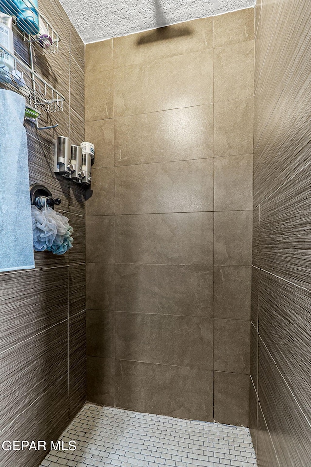 701 La Cruz Dr, El Paso, TX 79902 - full bathroom with tiled shower