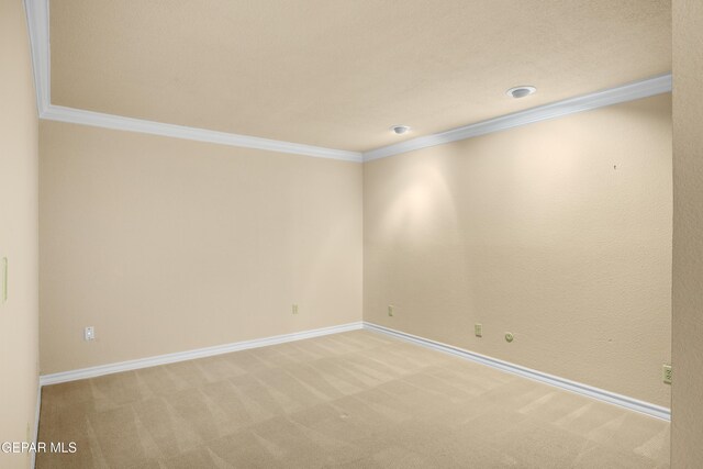 spare room featuring crown molding, baseboards, and carpet flooring