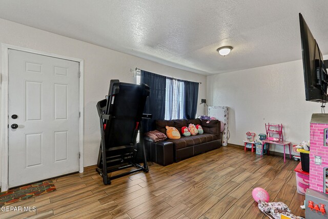 702 Thompson Rd, San Elizario, TX 79849 - living room featuring light wood finished floors and a textured ceiling