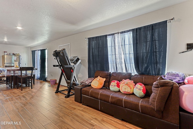 702 Thompson Rd, San Elizario, TX 79849 - living area featuring wood finished floors and a textured ceiling