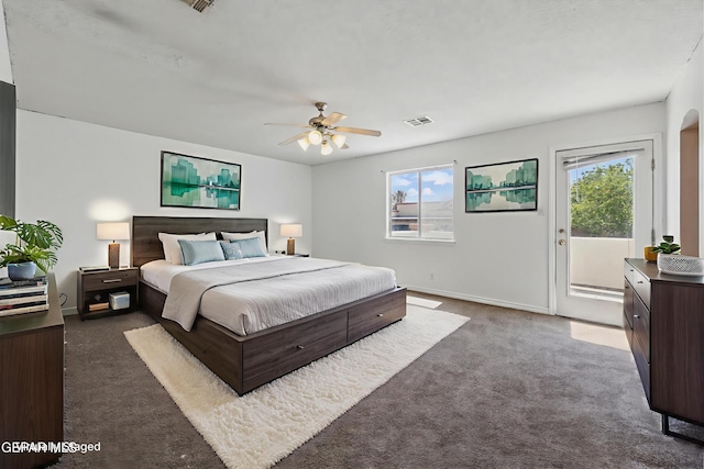 14252 Desert Sage Dr, Horizon City, TX 79928 - bedroom featuring multiple windows, access to outside, carpet flooring, and ceiling fan
