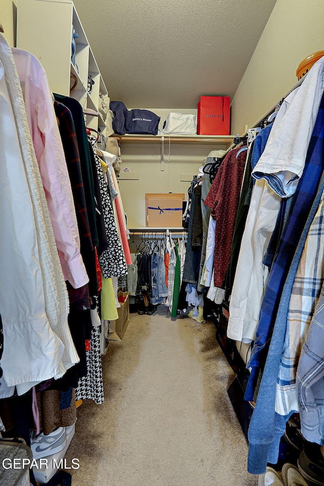 walk in closet with carpet flooring