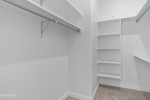 spacious closet with carpet