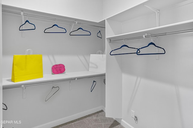 view of spacious closet