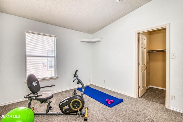 workout room with lofted ceiling, carpet, and a textured ceiling
