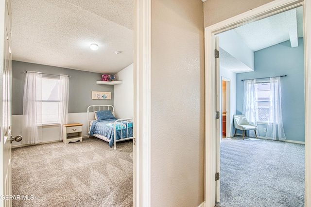 bedroom with a textured ceiling, carpet flooring, and multiple windows