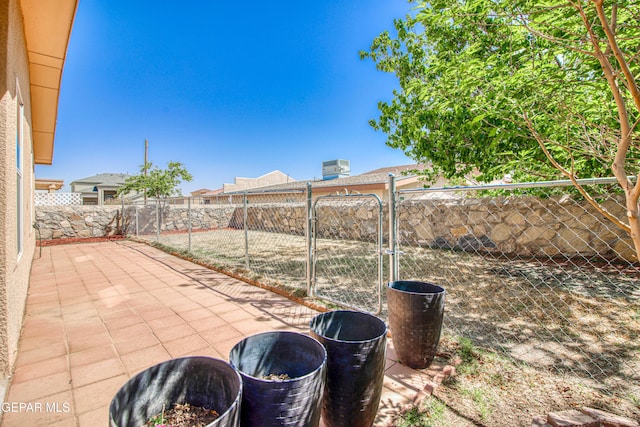 view of yard featuring a patio, a fenced backyard, and a gate