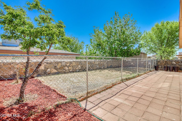 view of yard featuring a patio area and a fenced backyard