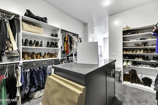784 Brunswick Pl, Horizon City, TX 79928 - walk in closet with carpet flooring