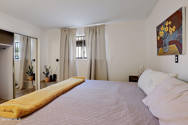 3705 Roslyn Dr, Horizon City, TX 79928 - bedroom with a closet and a textured ceiling