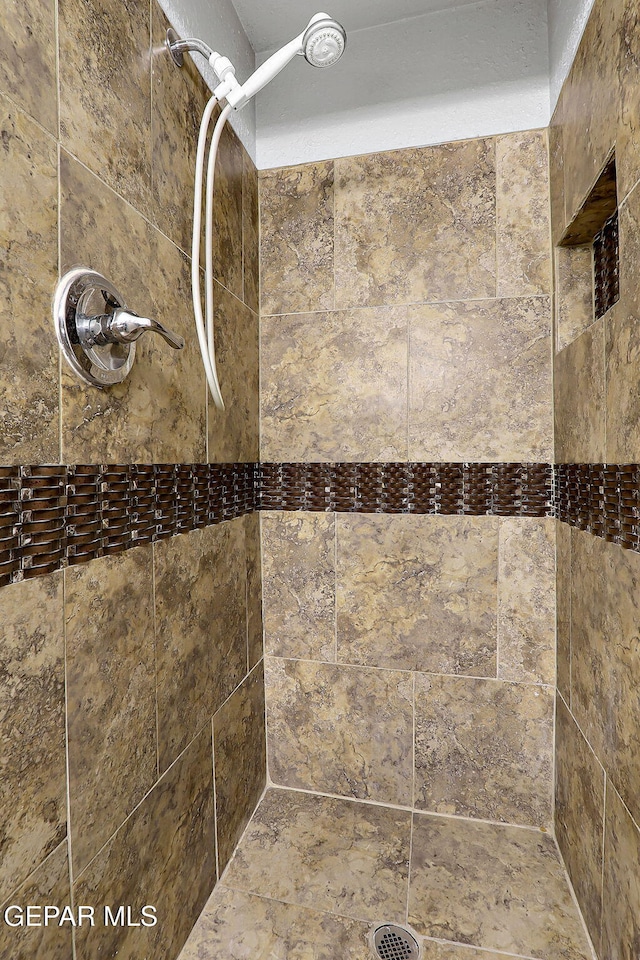 3705 Roslyn Dr, Horizon City, TX 79928 - interior details with tiled shower