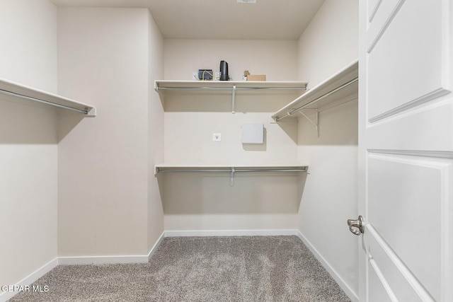 spacious closet featuring carpet