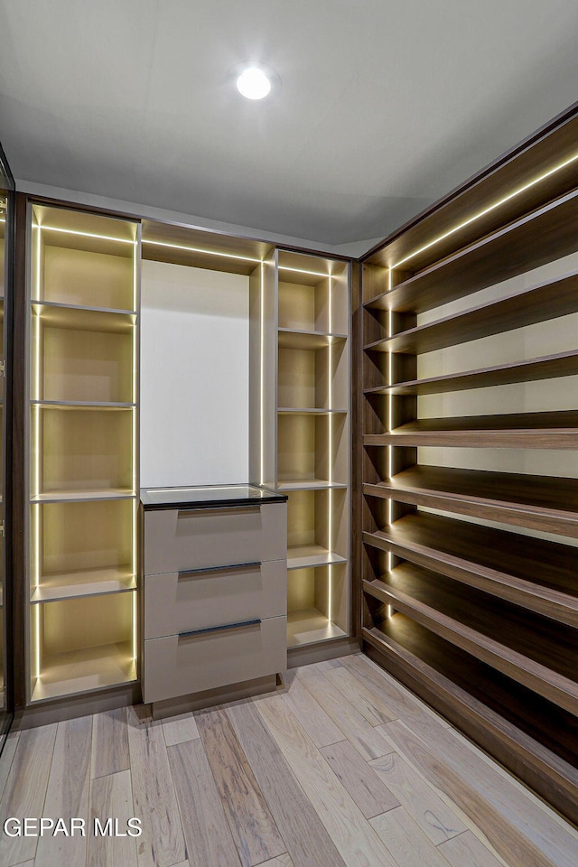 4108 Metetuye Ln, El Paso, TX 79902 - walk in closet with light wood-style flooring