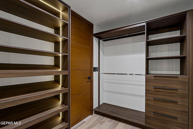 4108 Metetuye Ln, El Paso, TX 79902 - walk in closet with light wood-style flooring