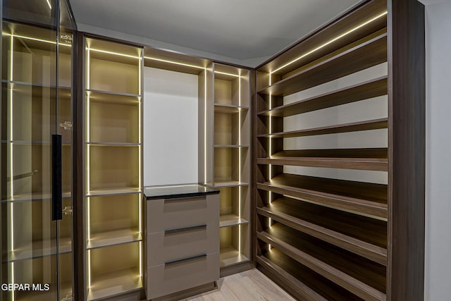 4108 Metetuye Ln, El Paso, TX 79902 - walk in closet with light wood-style flooring