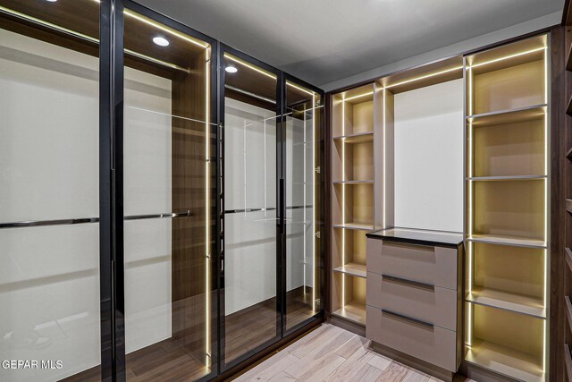 4108 Metetuye Ln, El Paso, TX 79902 - walk in closet with light wood-style flooring